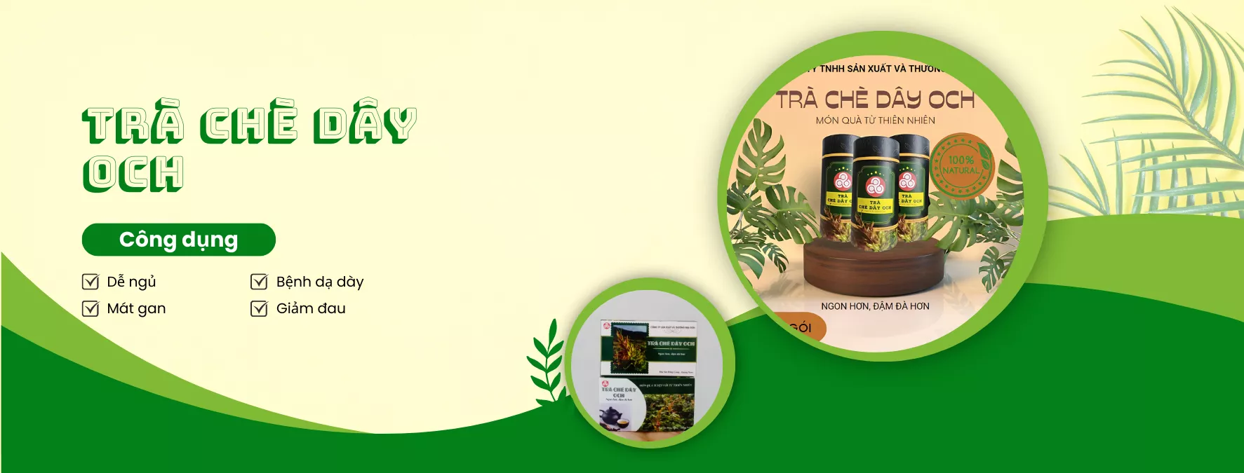 Trà Chè Dây OCH