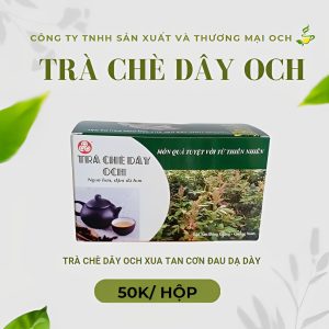 Trà chè dây OCH 3